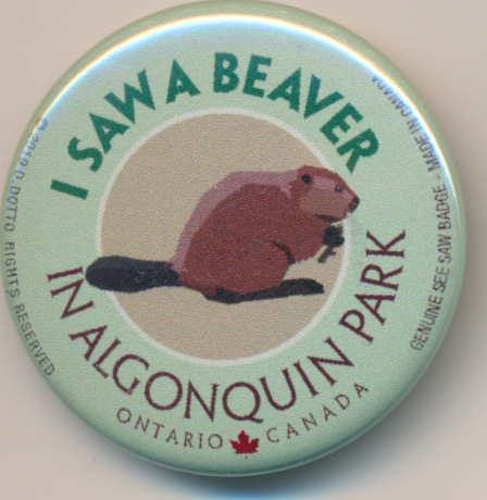 Saw a Beaver See Saw Badge